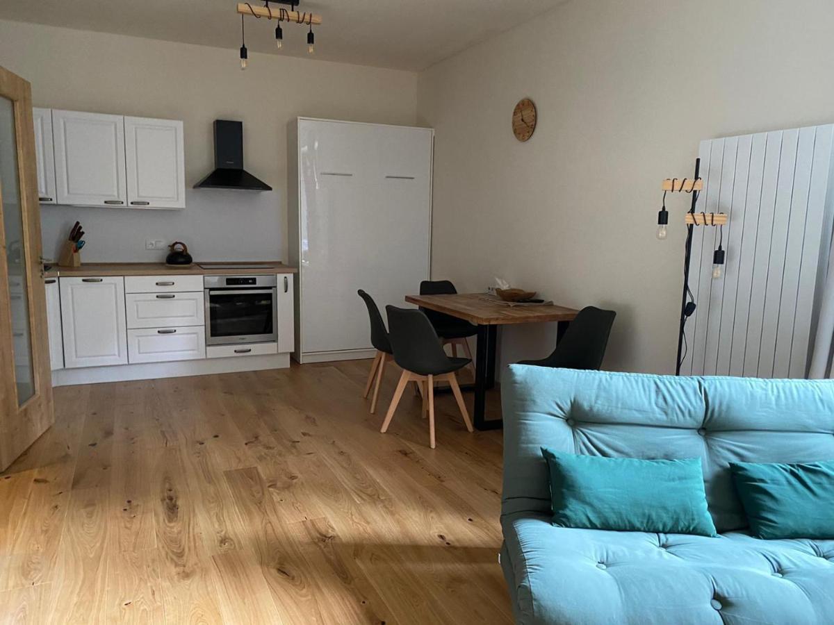 Anna Viktoria V Brcalniku Apartment *